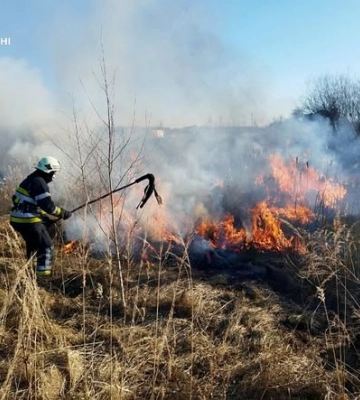 За минулу добу на Волині вигоріло понад 1 га сухостою