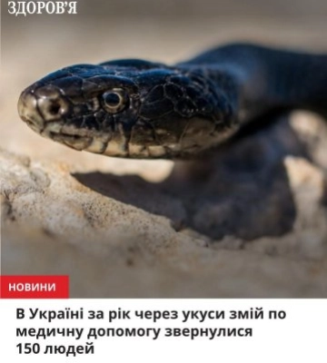 Укуси змій на Закарпатті: ЦГЗ оприлюднив тривожну статистику звернень