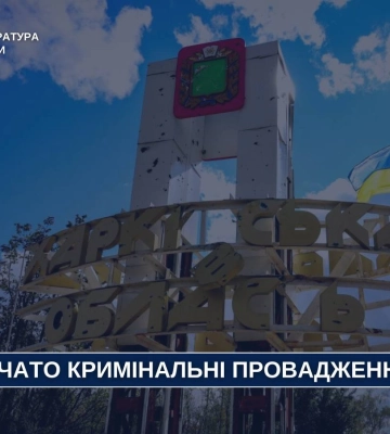 Російський БпЛА атакував Чугуївщину: постраждала літня жінка