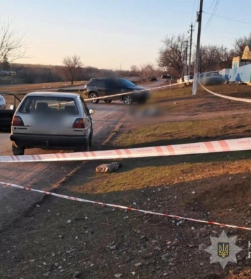 На Одещині водій автомобіля збив двох людей на пішохідному переході