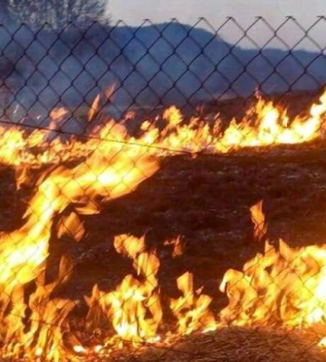 За добу на Львівщині спалахнули десятки пожеж