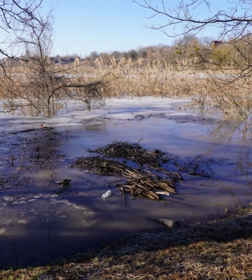 У Черкаському районі втонула людина