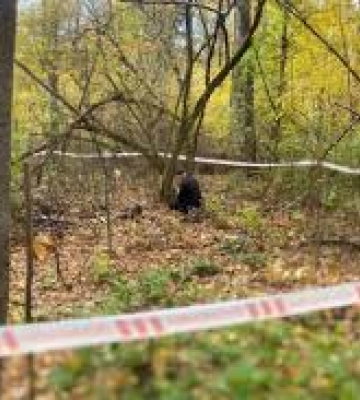 На Закарпатті у лісі знайшли тіло чоловіка