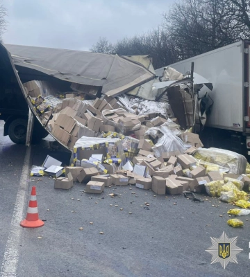 На Львівщині внаслідок карколомної ДТП на трасі трагічно загинув водій вантажівки. ФОТО