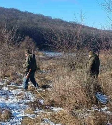 На Одещині під час відстрілу лисиць і шакалів зафіксували порушення