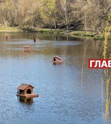 В Україні сонячно, без опадів: погода на 9 березня