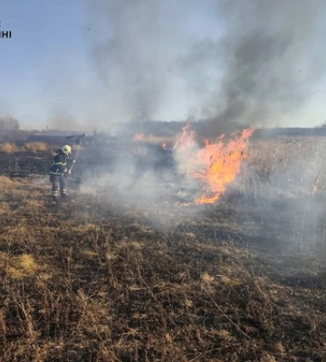 Рятувальники ліквідували пожежу легковика у Здолбунові