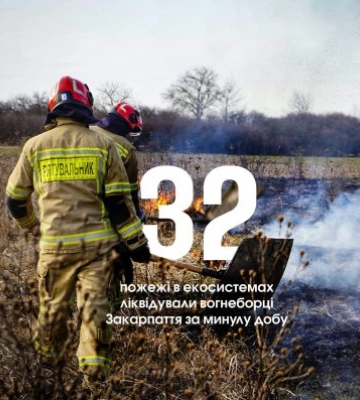 Весняний вогняний сплеск: за добу на Закарпатті сталося 32 пожежі в екосистемах