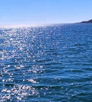 В Одесі перевірили морську воду на нафтопродукти: що показали результати