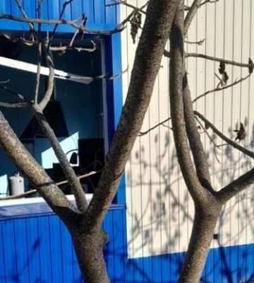 Ворог атакував керованими авіабомбами підприємство на Сумщині, є загиблий та поранені