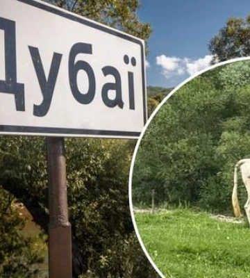 Замість Бурдж Халіфа – корови: мало хто знає, що на Львівщині є свій Дубай