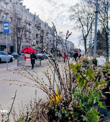 Малооблачно, до +15: прогноз погоды в Харькове и области на 11 марта