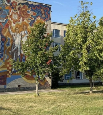 Житомирська міськрада створила робочу групу зі збереження місцевих мозаїк