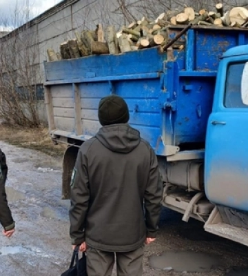 На Волині виявили незаконну рубку посеред міста (ФОТО)