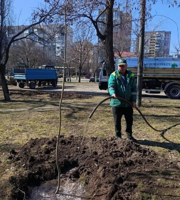 В Одесі у сквер Книповича висаджено ще 43 дерева, - ФОТО