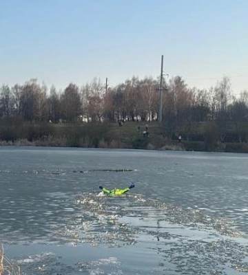 На Волині рятувальники витягли собаку з крижаної води (Фото)