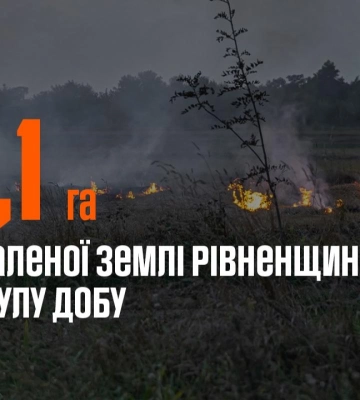 На Дубенщині рятувальники ліквідували пожежу у приватному господарстві