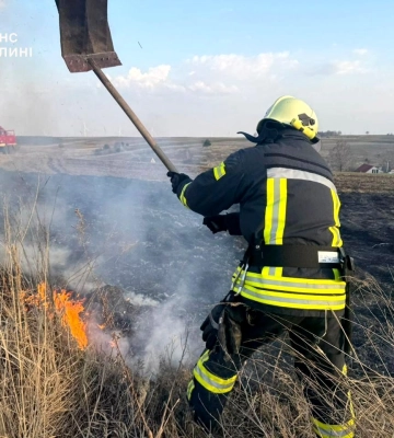 На Волині спіймали на гарячому палійку сухостою