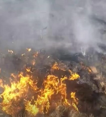 На Рівненщині  за одну добу сталося 17 пожеж в екосистемах (ВІДЕО)