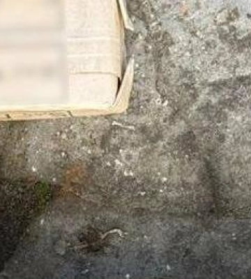 На Львівщині затримали чоловіка, який зберігав вдома гранати, тротил і патрони