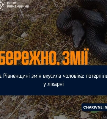 На півночі Рівненщини чоловік потрапив до реанімації через укус змії