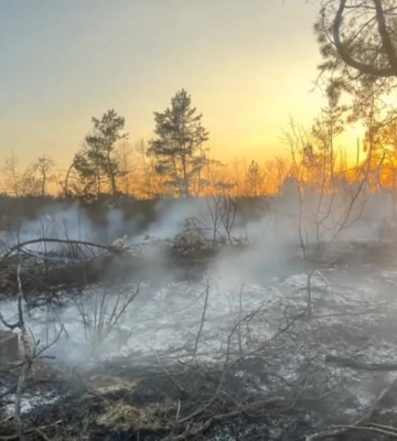 На Рівненщині  за одну добу сталося 17 пожеж в екосистемах (ВІДЕО)