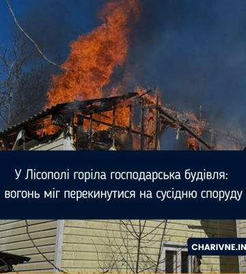 У селі на Рівненщині горіла господарська будівля