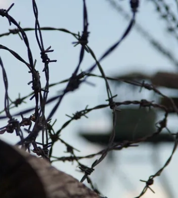 За матеріалами СБУ 15 років тюрми отримали ще троє зрадників, які воювали проти Сил оборони на Донбасі