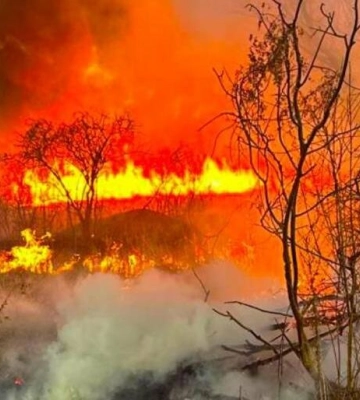 На Одещині сталася масштабна пожежа