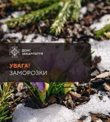 Весна бере паузу: на Закарпатті оголосили жовтий рівень небезпеки через нічні заморозки
