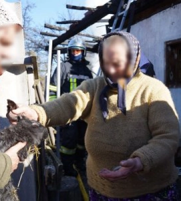 На Ужгородщині вогнеборці ліквідували пожежу в господарській споруді та врятували свійських тварин