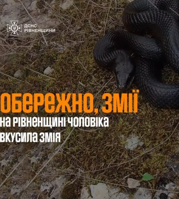Погана прикмета весни: на Рівненщині чоловіка укусила отруйна змія