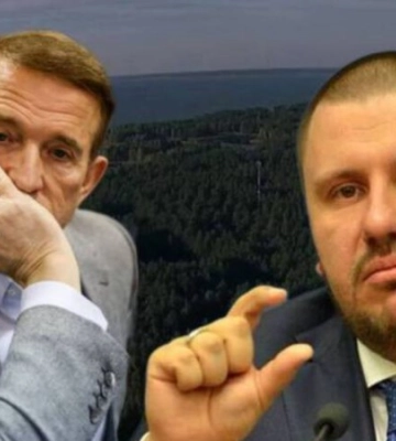 Державі повернули 9 га лісу на Київщині, пов’язаних з Медведчуком та міністром часів Януковича