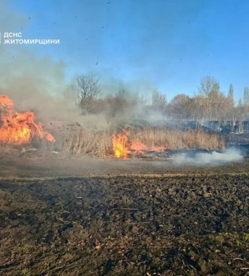 Ціна спаленої трави – госпіталізація: на Житомирщині жінка отримала тяжкі опіки під час прибирання