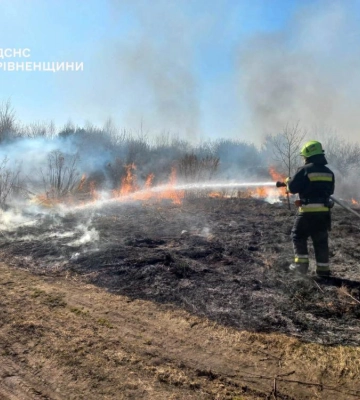 За добу на Рівненщині вигоріло 11 гектарів землі
