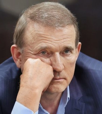 9,5 га лісу, пов’язані з Медведчуком і Клименком, повернули державі, - прокуратура