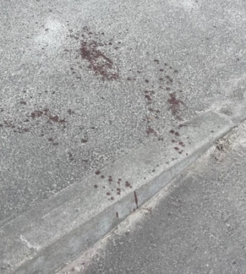 Нападение и попытка похищения судьи в Днепре: в ТЦК прокомментировали слухи