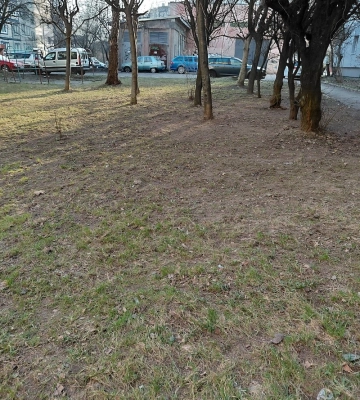 Найкращого двірника Львова обирають зі 62 претендентів