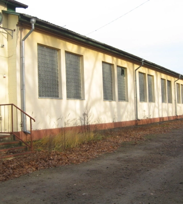 На Хмельниччині продають цех із переробки деревини: яка стартова ціна