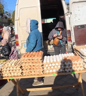Ціни на яйця на ринку у Луцьку вражають та б'ють рекорди (відео)