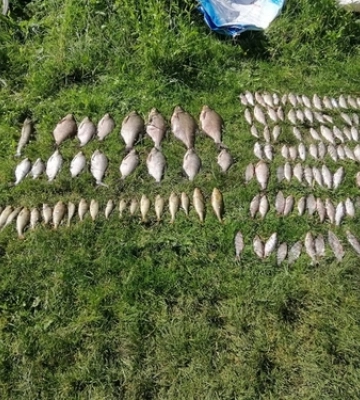 На Волині чоловіка судили за 18 кг риби
