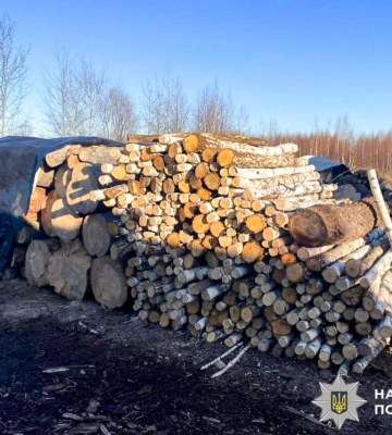 У жителя Рівненщини вилучили 15 кубів деревини та піролізні печі