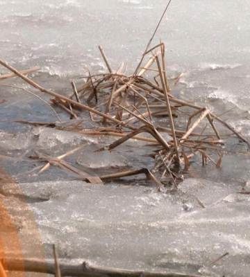 Весняна пастка: лід на водоймах Рівненщини стає небезпечним (ВІДЕО)