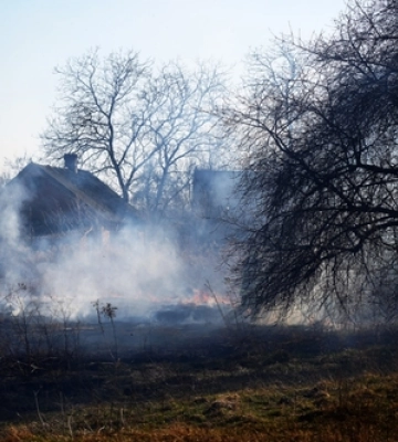 На Волині за добу вигоріло 13 гектарів землі