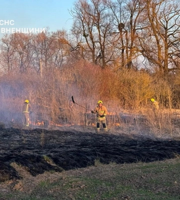 На Рівненщині за добу загасили 15 пожеж в екосистемах (ВІДЕО)