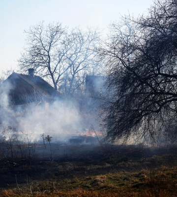 На Рівненщині за добу загасили 15 пожеж в екосистемах (ВІДЕО)