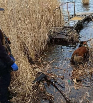 На Дніпропетровщині одночасно зникли п’ять підлітків: поліція шукає чотирьох хлопців та одну дівчину
