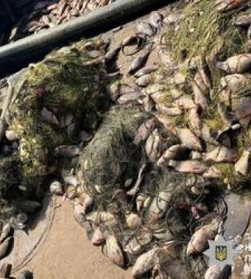 500 кг риби на 2 млн грн збитків: на Полтавщині викрили браконьєра