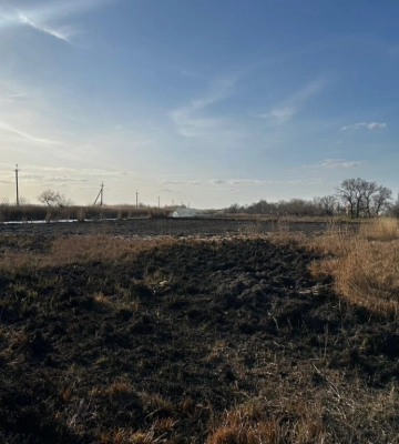 Фахівці розрахували екологічні наслідки пожежі сухої рослинності у Білгород-Дністровському районі