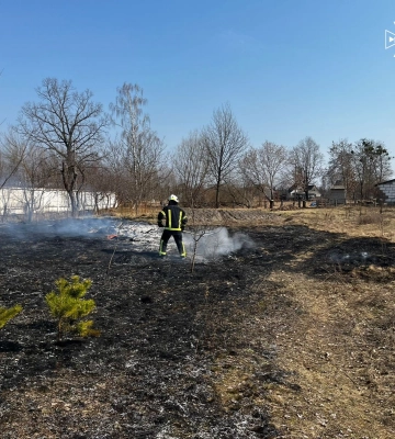 За добу в екосистемах Рівненщини сталося 20 пожеж
